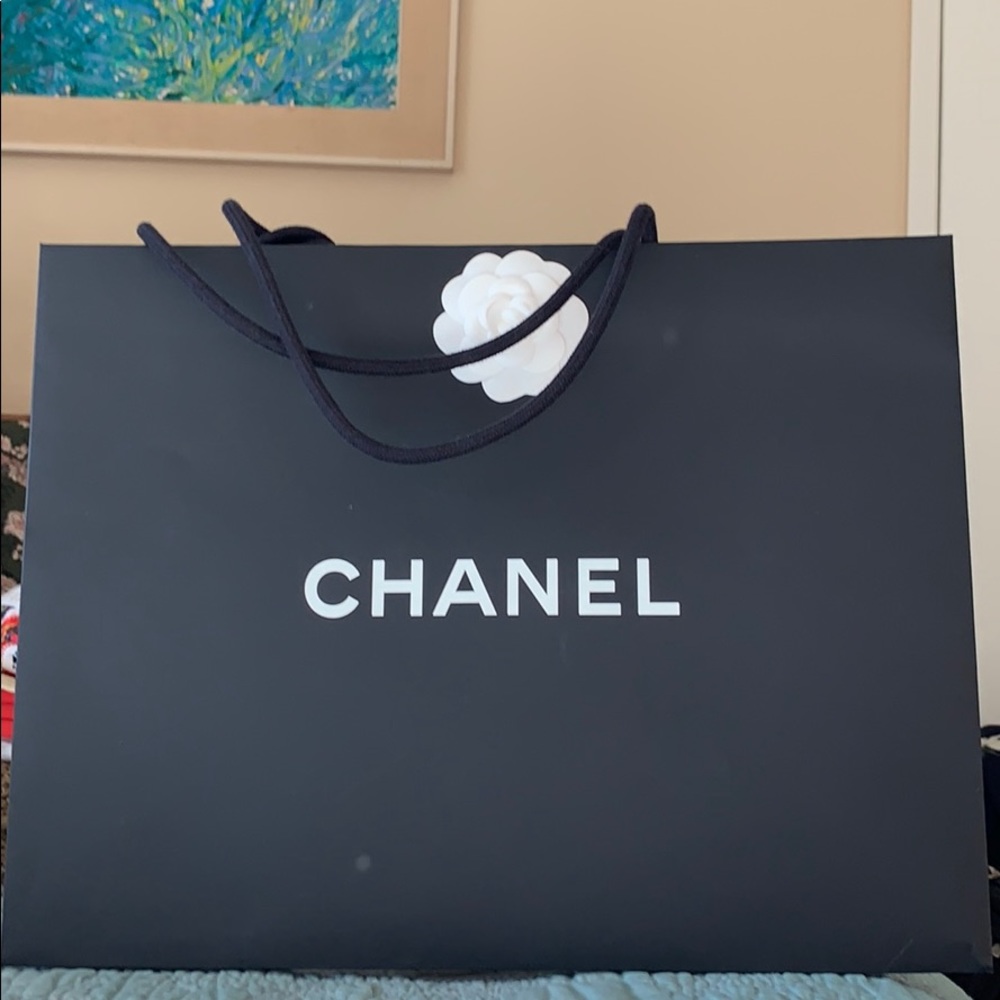 Chanel bag (1)